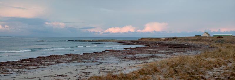 Ardivachar Croft Garden