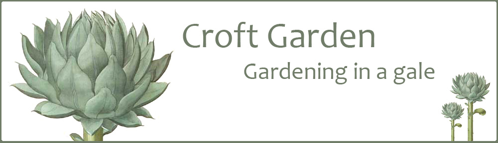 Croft Garden - gardening in a gale