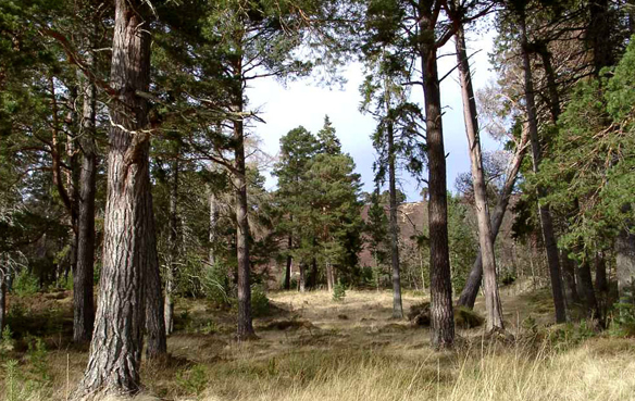 Mar Lodge, Braemar
