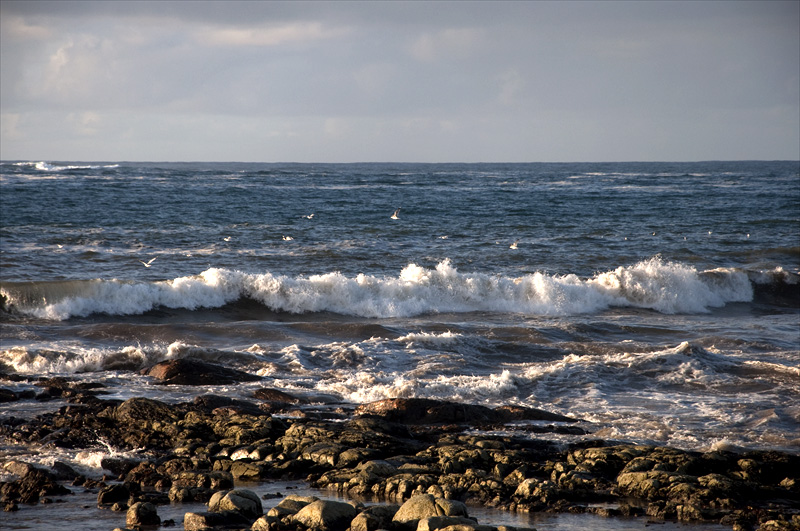 Ardivachar reef