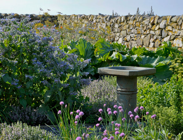 Croft Garden Cottage herb garden