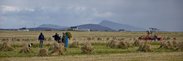 Harvest South Uist