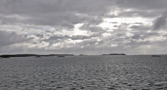 Swan Morning Outer Hebrides winter sky sea