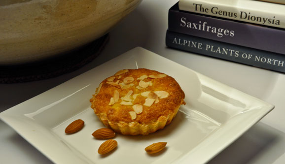 Almond tart