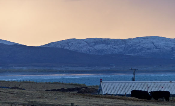 wintry-morning